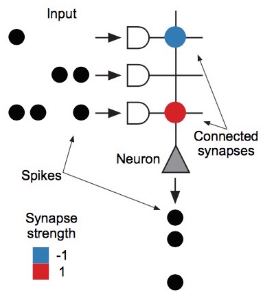 Figure from the PNAS paper on convolutional networks for neuromorphic hardware